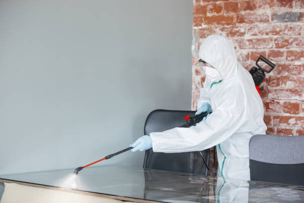 Best Mold Odor Removal Services in Roosevelt, UT